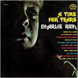 Cover image of A Time For Tears