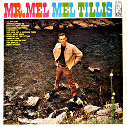 Cover image of Mr. Mel