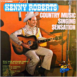 Cover image of Country Music Singing Sensation