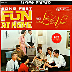 Cover image of Fun At Home