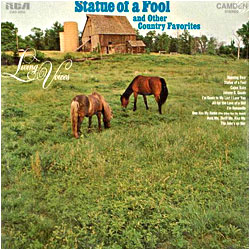 Cover image of Statue Of A Fool