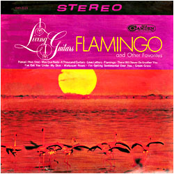 Cover image of Flamingo